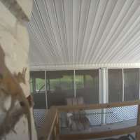 Have You Seen This? Lizard thinks doorbell camera is a bug