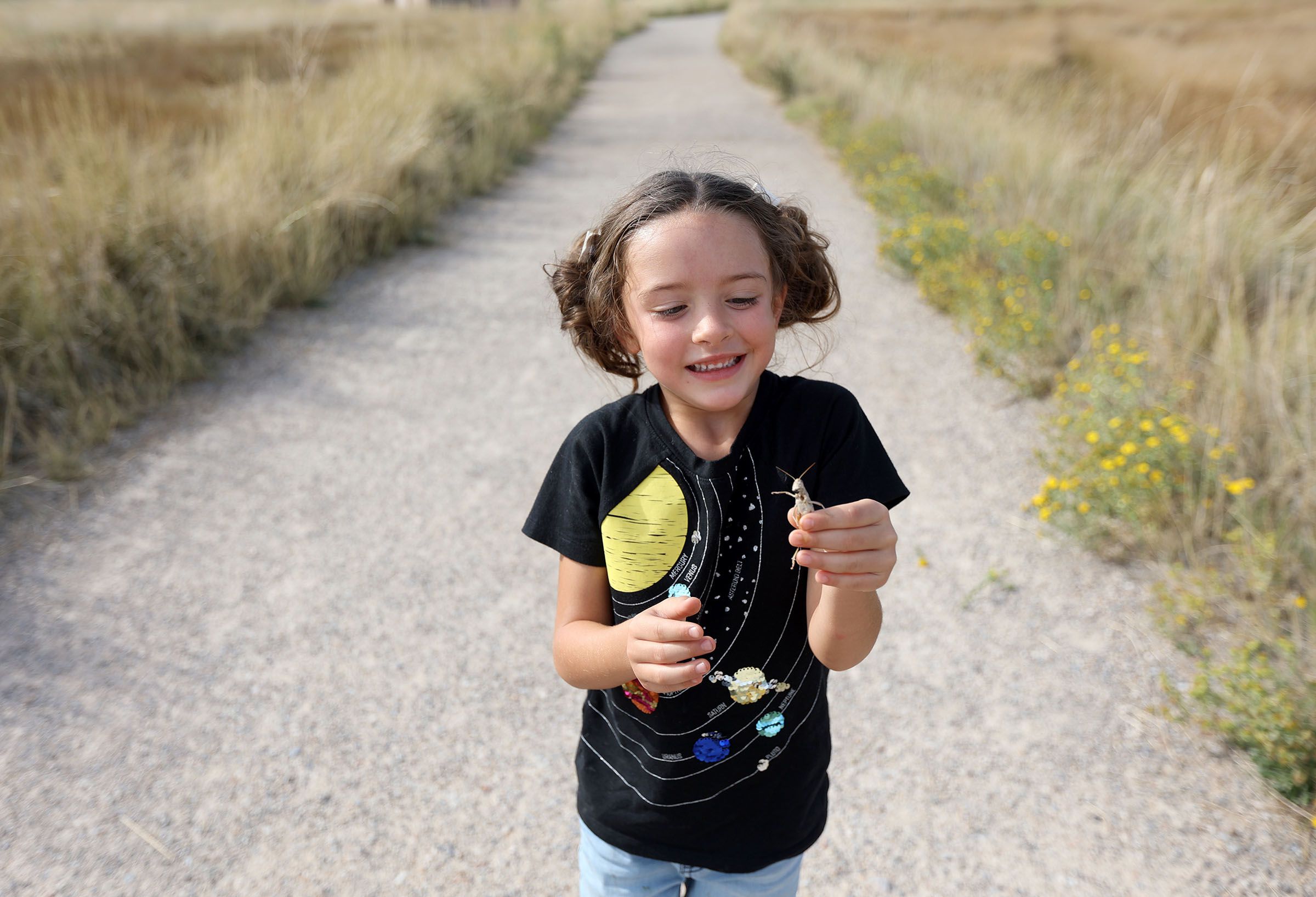 Taya Hess picks up a cricket while exploring the Great Salt Lake Shorelands Preserve in Layton on Sept. 13, 2021. The 4,400 acre preserve was The Nature Conservancy’s first preserve in Utah and is used by between 4 million and 6 million birds annually.