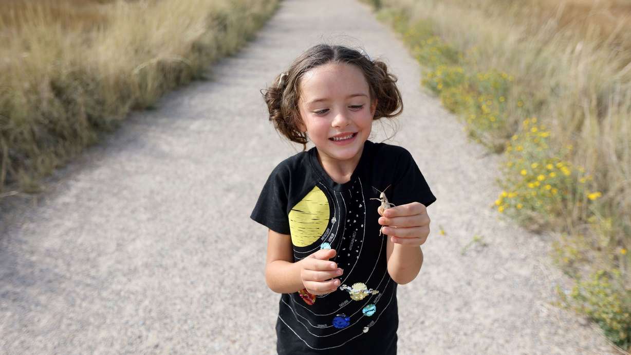 Taya Hess picks up a cricket while exploring the Great Salt Lake Shorelands Preserve in Layton on Sept. 13, 2021. The 4,400 acre preserve was The Nature Conservancy’s first preserve in Utah and is used by between 4 million and 6 million birds annually.