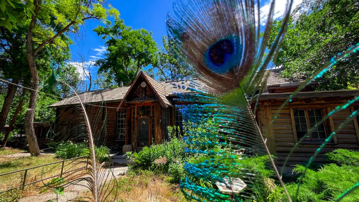 A peacock feather rests near the exterior of the main lodge at Allen Park in Salt Lake City on June 24. The park stands to receive funds for improvements from a city bond, but not as much as it may have otherwise.