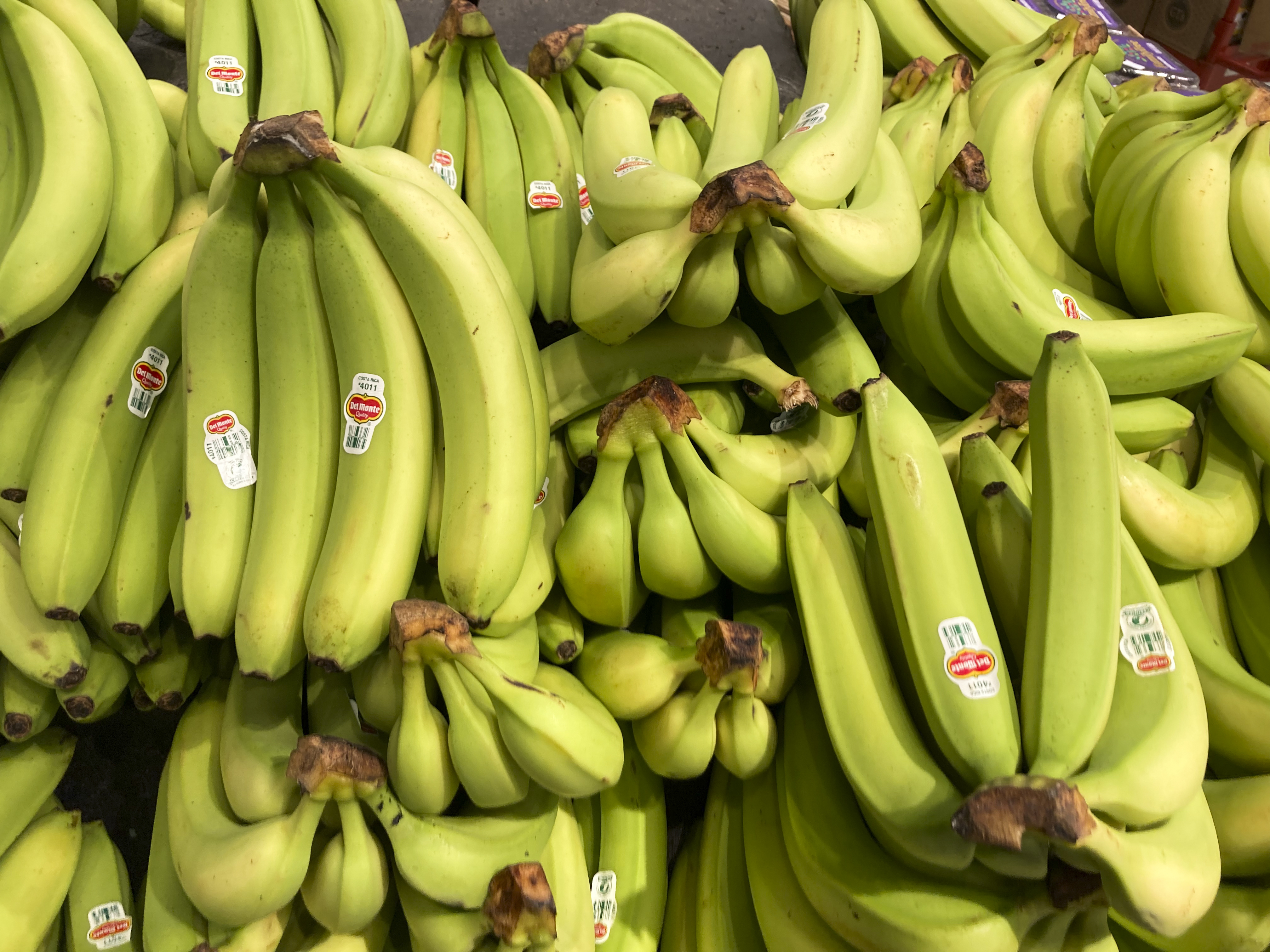 Bananas are displayed at a grocery store in Philadelphia, Tuesday.