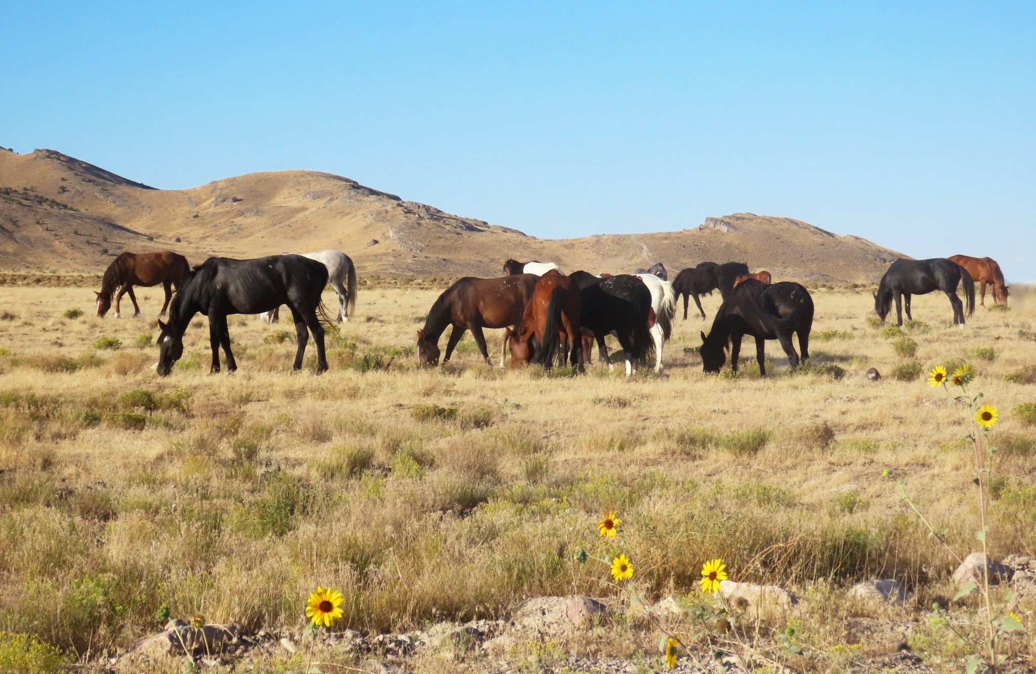 These 8 guided tours in the Salt Lake City area are even great for Utah natives