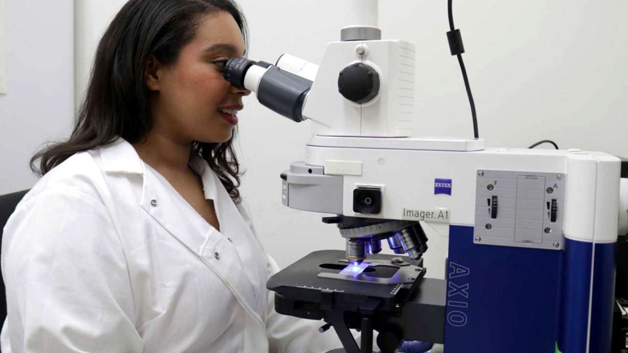 Alexia Williams uses a microscope to examine mouse brains in which RGS2 protein was experimentally increased. Increasing the RGS2 protein in the nucleus accumbens reduced the effects of stress on behavior in female mice.