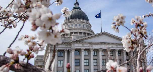 Process and timeline