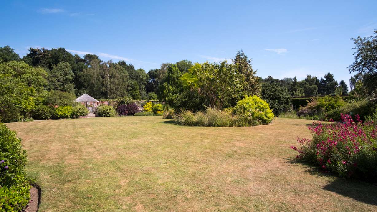 Your lawn probably isn't dead, despite how it might look