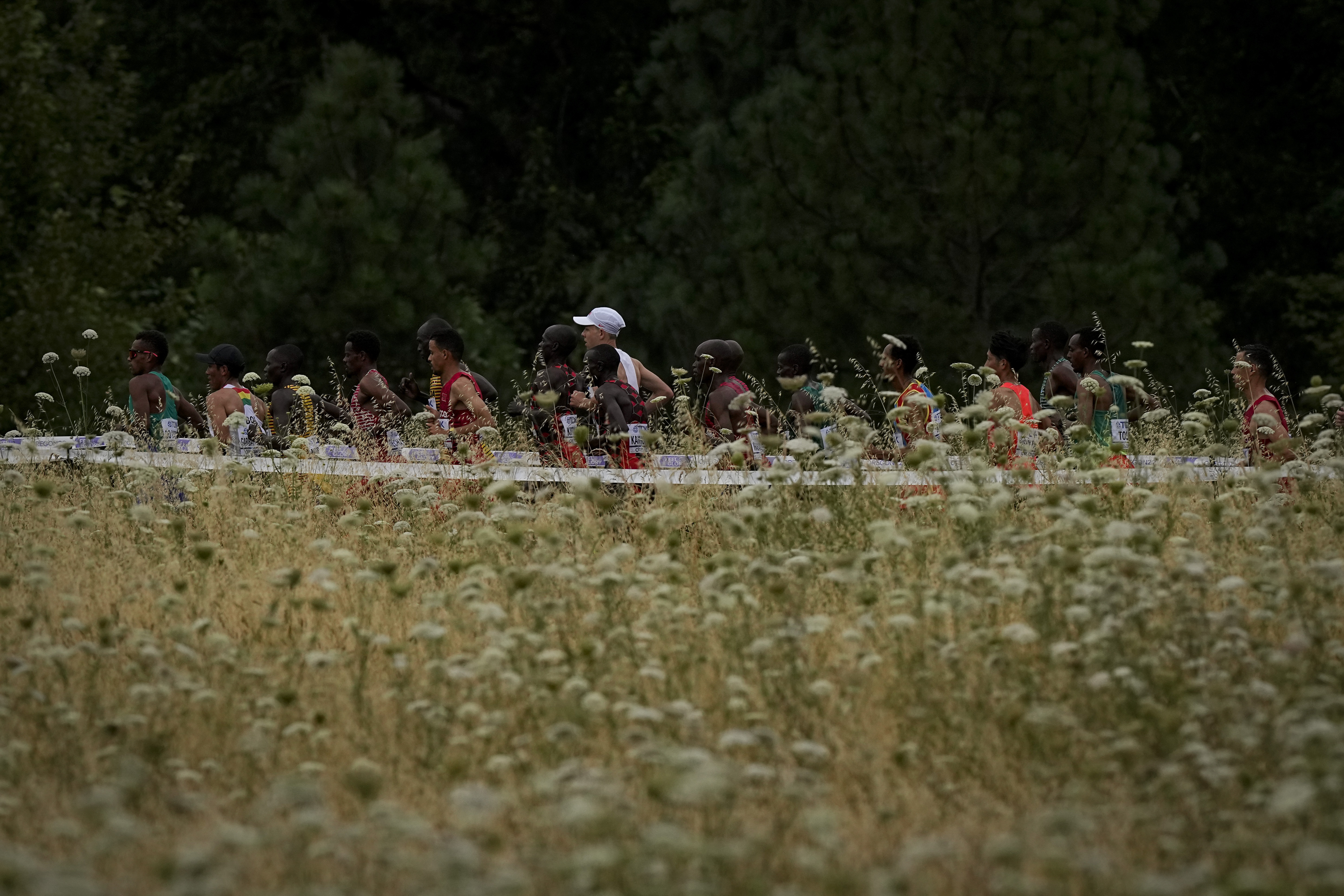 Runners compete during the marathon at the World Athletics Championships Sunday, July 17, 2022, in Eugene, Ore. 