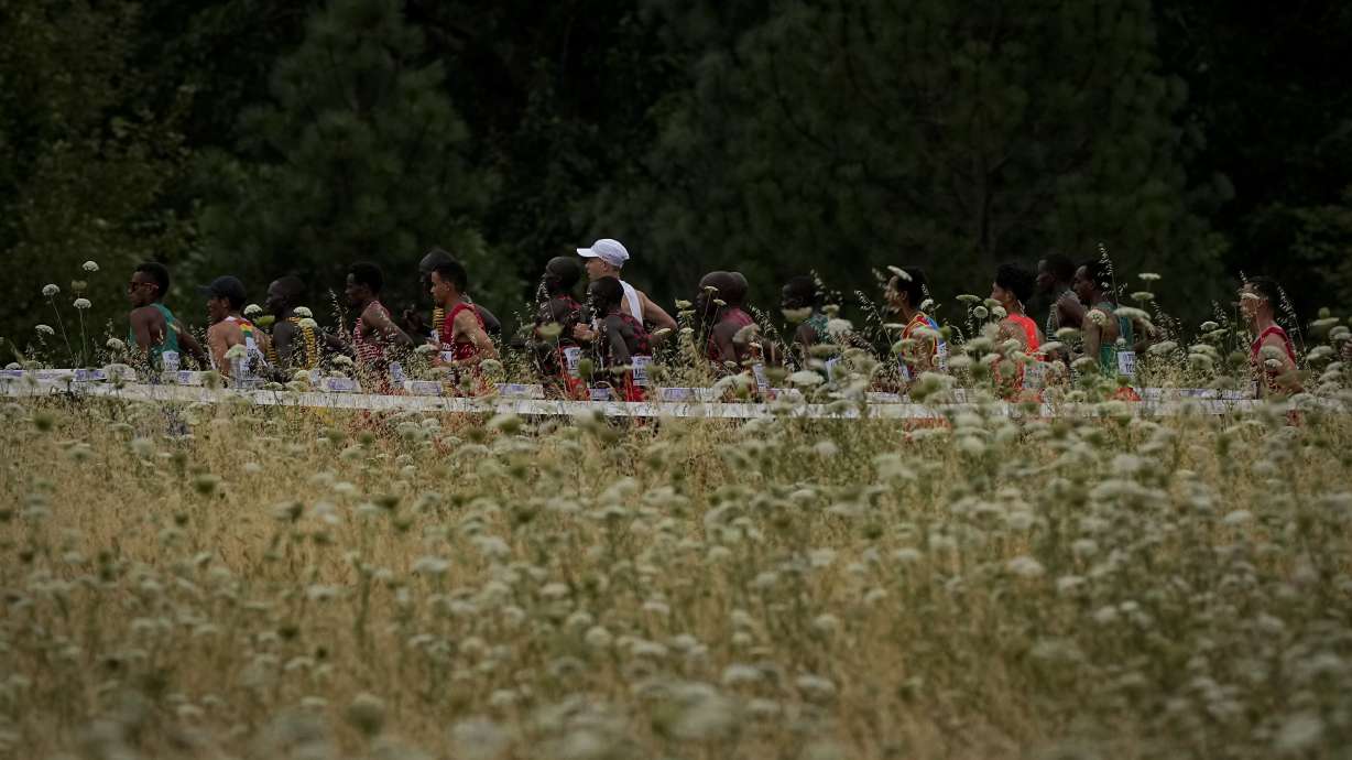Runners compete during the marathon at the World Athletics Championships Sunday, July 17, 2022, in Eugene, Ore.