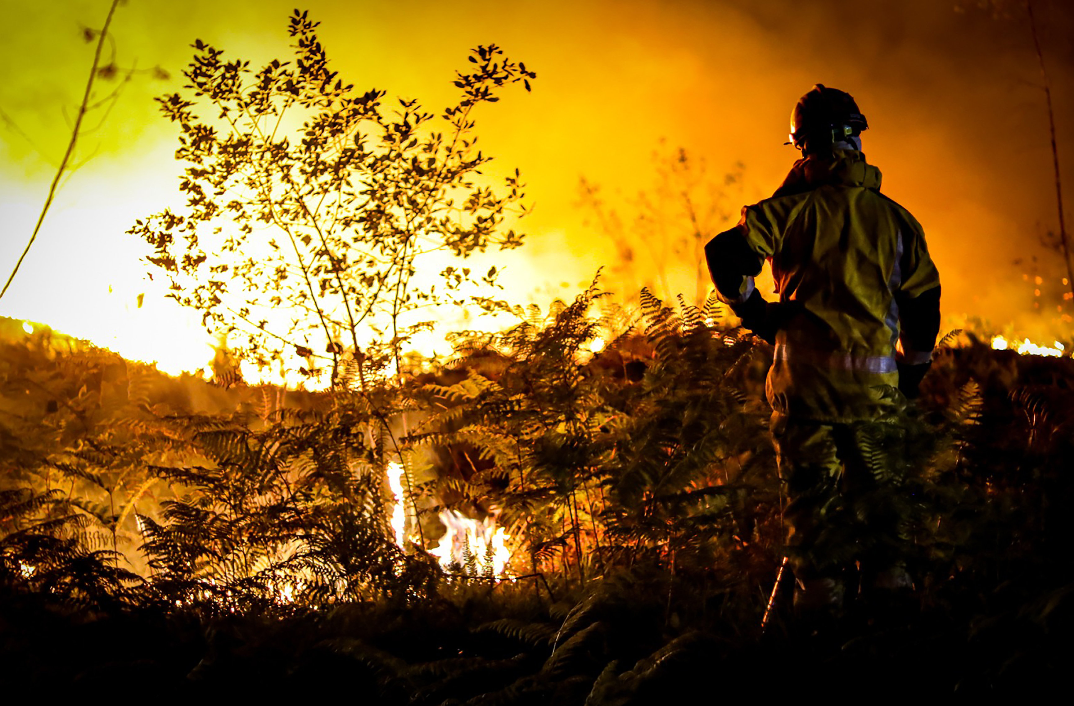 This photo provided by the fire brigade of the Gironde region shows a firefighter standing next to wildfire near Landiras, southwestern France, Monday morning. France scrambled more water-bombing planes and hundreds more firefighters to combat spreading wildfires that were being fed Monday by hot swirling winds from a searing heat wave.