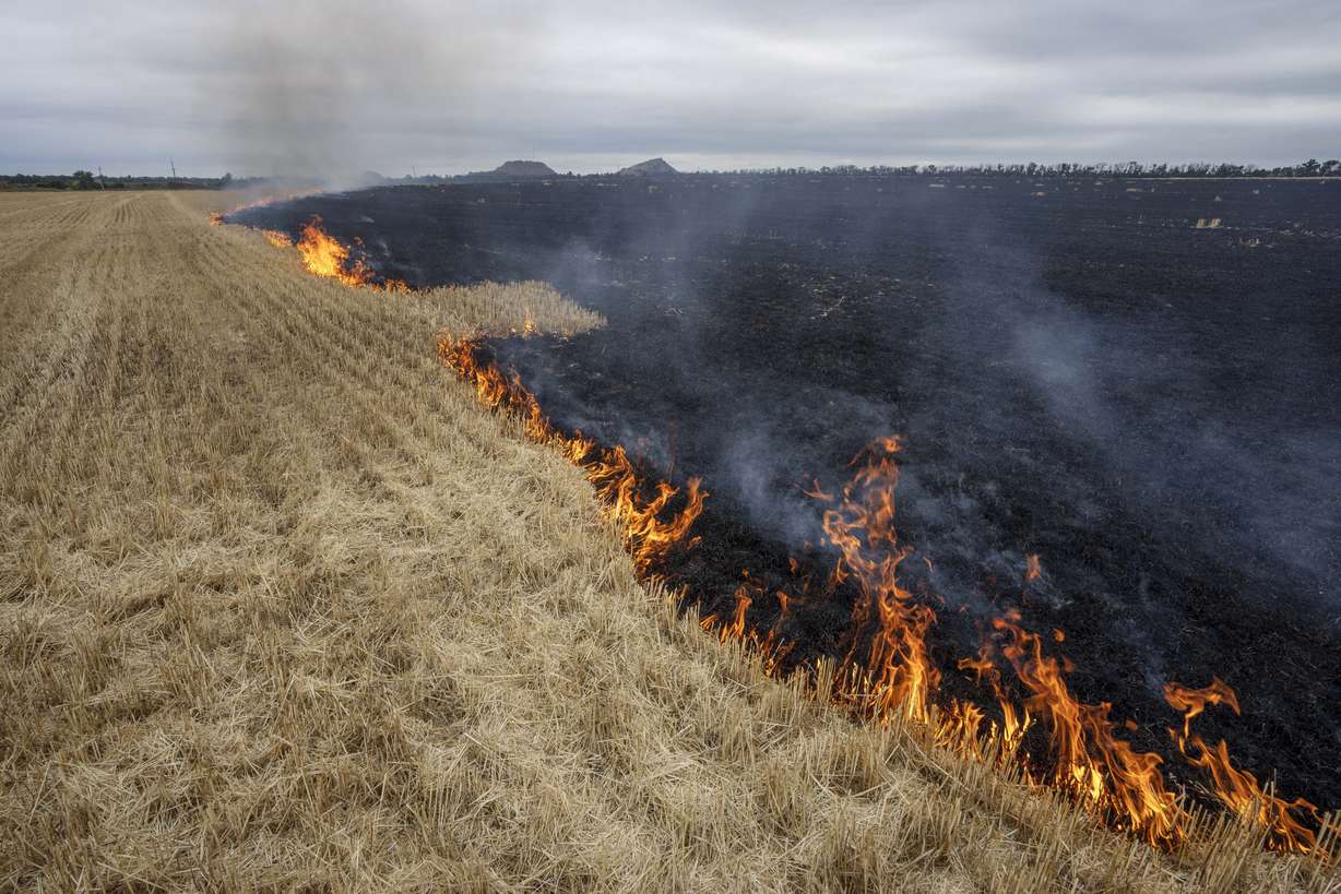 Des champs de céréales brûlent, à la périphérie de Kurakhove, dans l'oblast de Donetsk, dans l'est de l'Ukraine, jeudi.