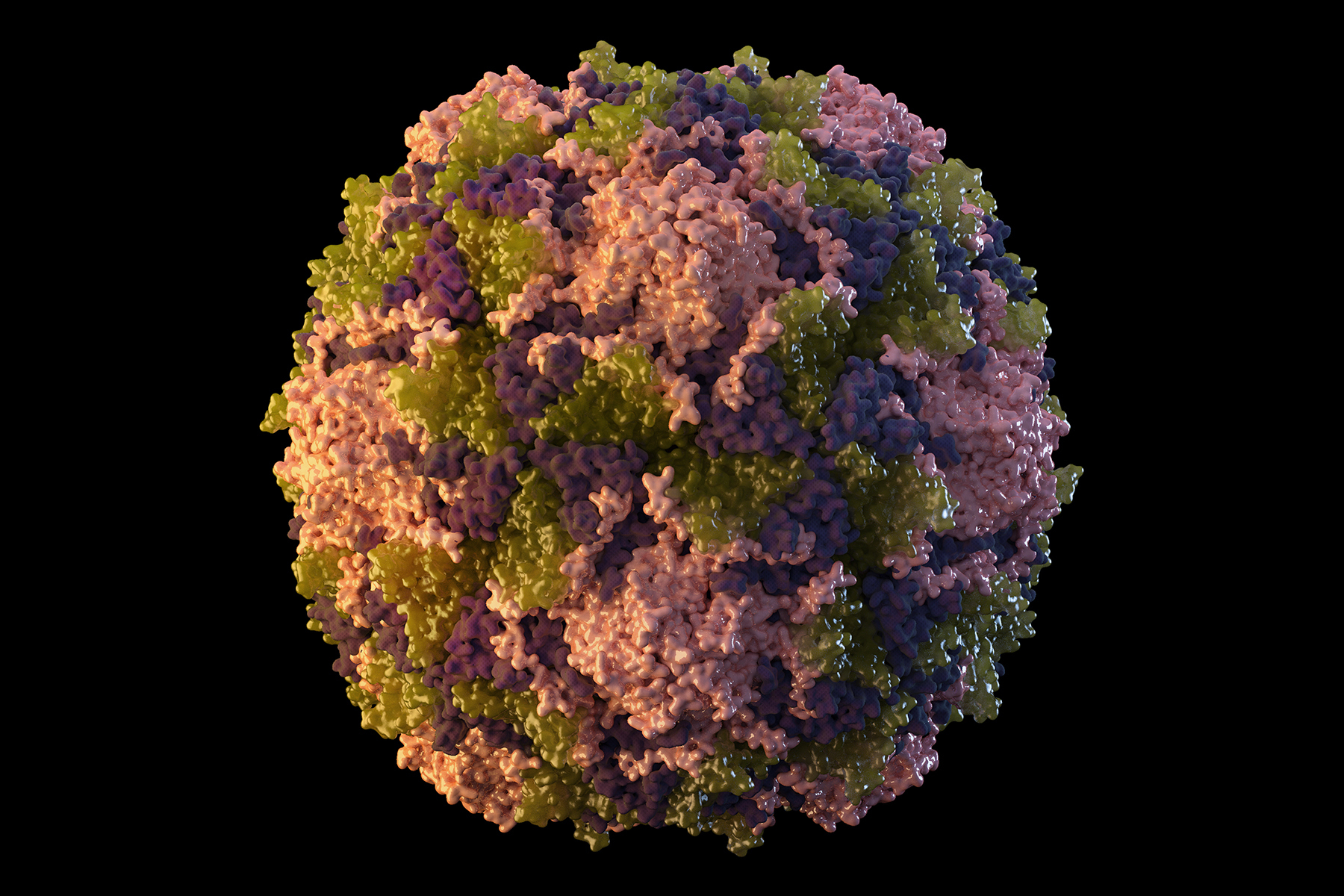This 2014 illustration made available by the U.S. Centers for Disease Control and Prevention depicts a polio virus particle. On Thursday, New York health officials reported a polio case, the first in the U.S. in nearly a decade.