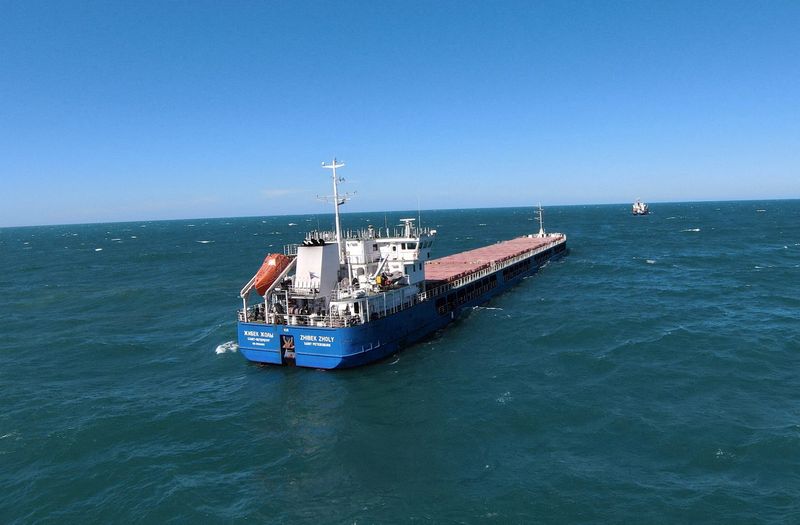 Russian-flagged cargo ship Zhibek Zholy is seen off the coast of Black Sea port of Karasu, Turkey, July 3.