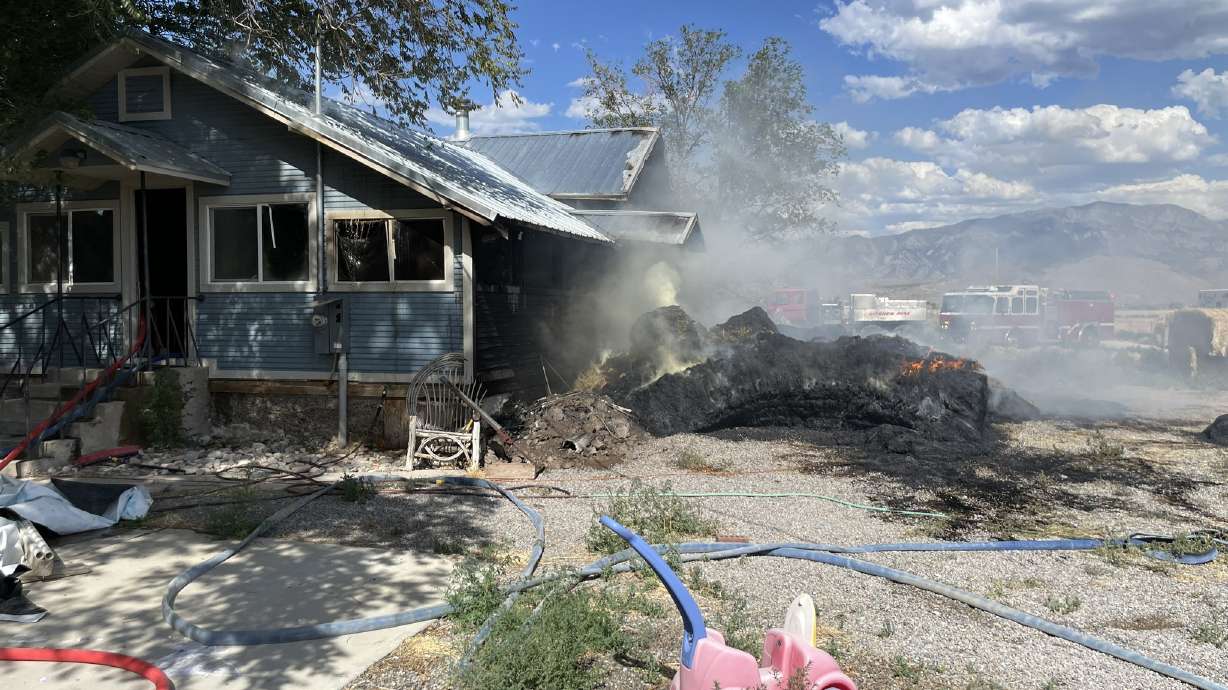 A home in Goshen went up in flames after a firework hit a nearby hay pile Friday.