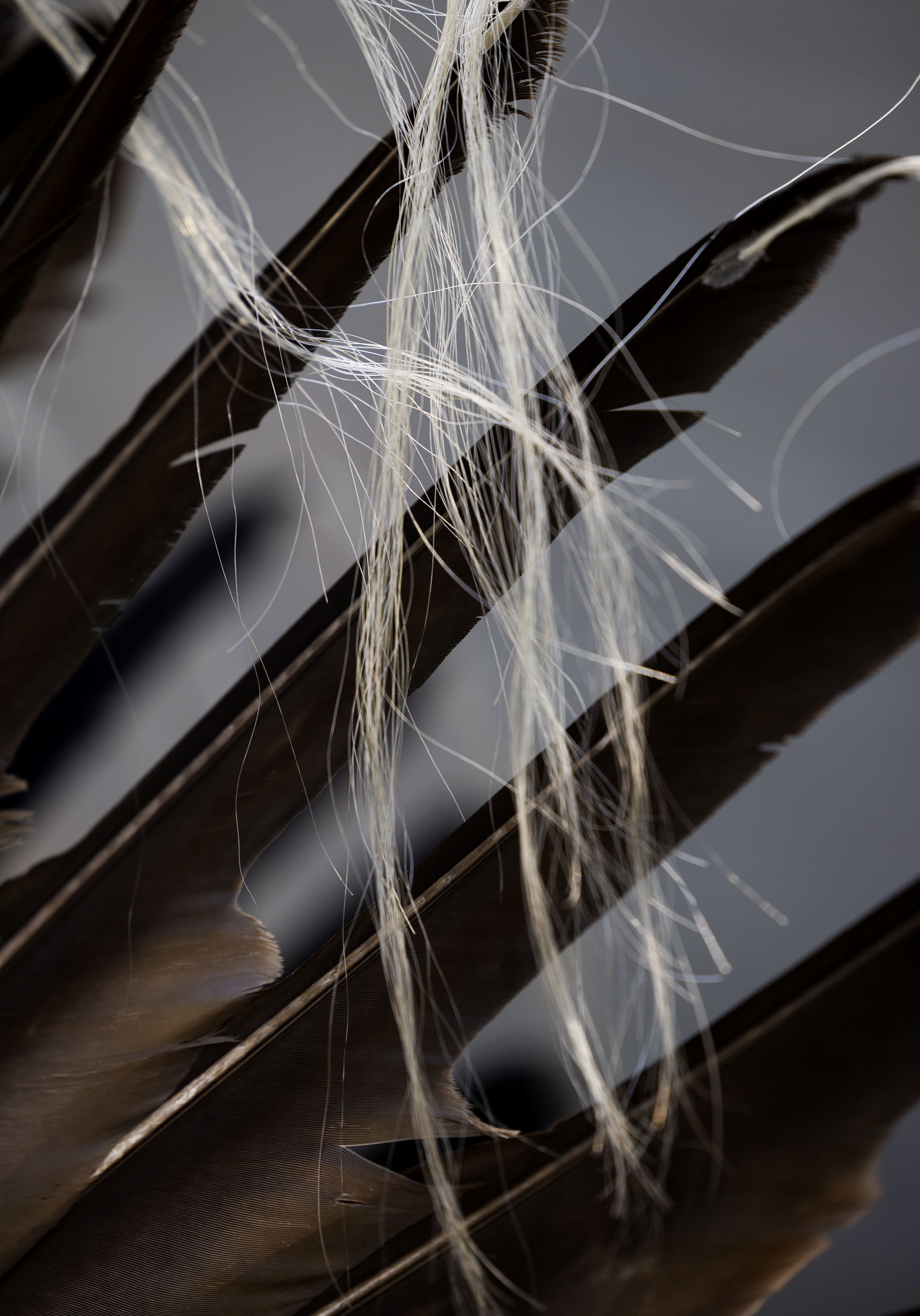 Eagle’s feathers and horse tail hairs decorate Harvey Spoonhunter’s headdress at the 28th Annual Intertribal Powwow in Liberty Park in Salt Lake City on Saturday. Spoonhunter is a member of the Northern Arapaho Tribe.