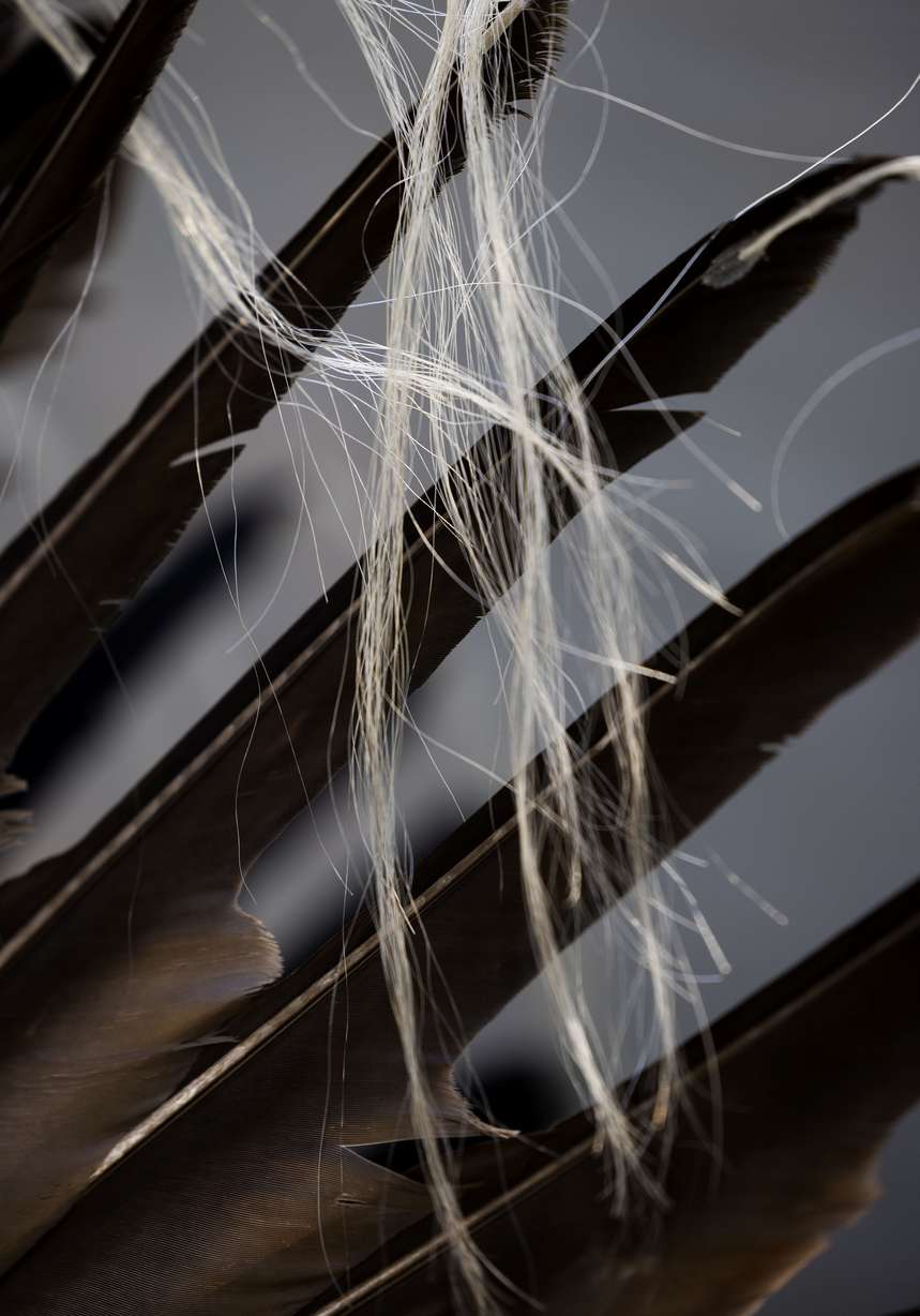 Eagle’s feathers and horse tail hairs decorate Harvey Spoonhunter’s headdress at the 28th Annual Intertribal Powwow in Liberty Park in Salt Lake City on Saturday. Spoonhunter is a member of the Northern Arapaho Tribe.