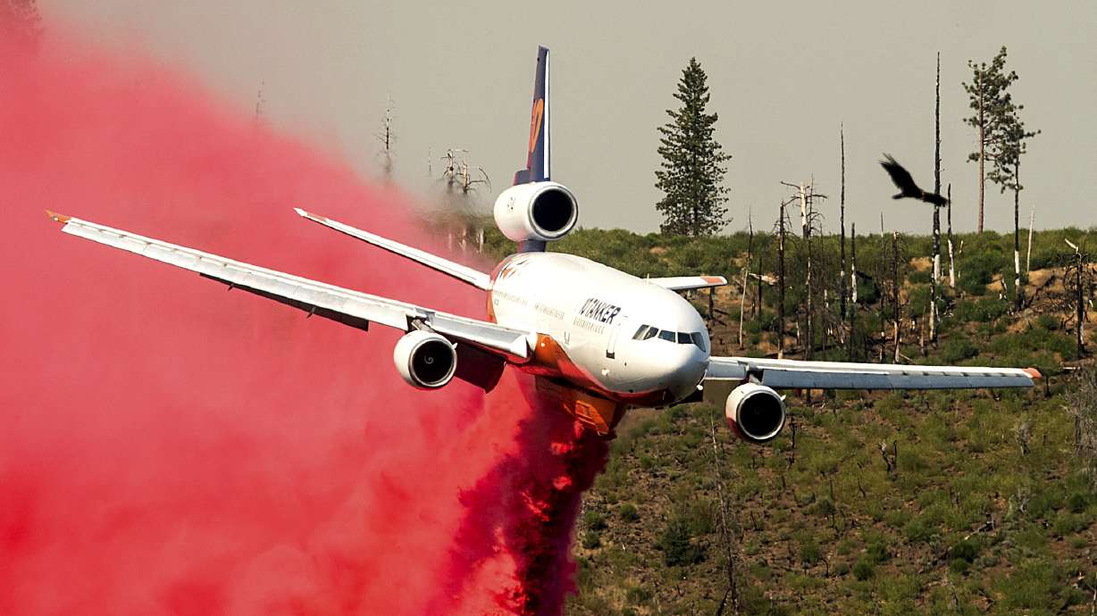 A bird flies above an air tanker battling the Oak Fire in Mariposa County, Calif., on Sunday.