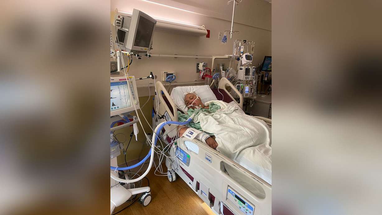 Susi Feltch-Malohifo’ou was hospitalized after getting multiple spider bites, family member say.