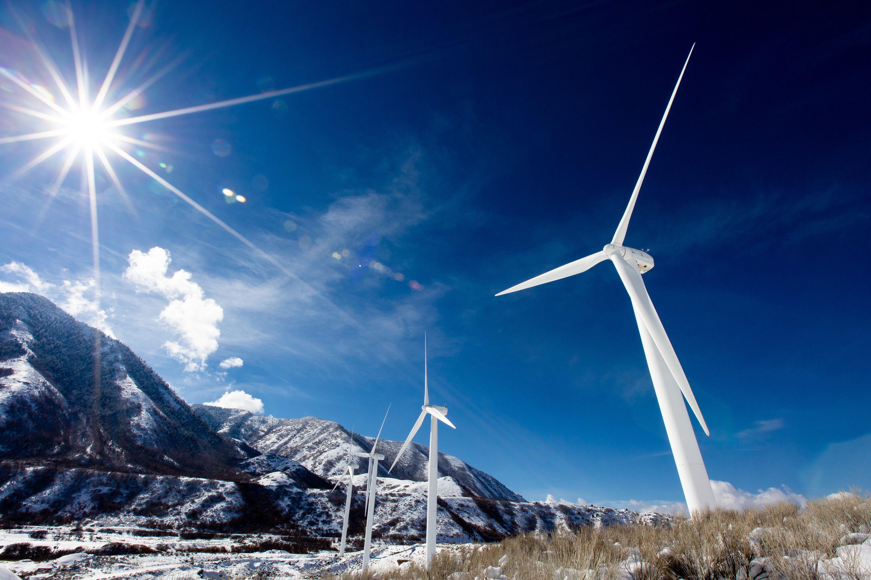 Wind turbines stand at the mouth of Spanish Fork Canyon in Spanish Fork on Feb. 18, 2021. What effects do wind energy creators have on wildlife in the area?