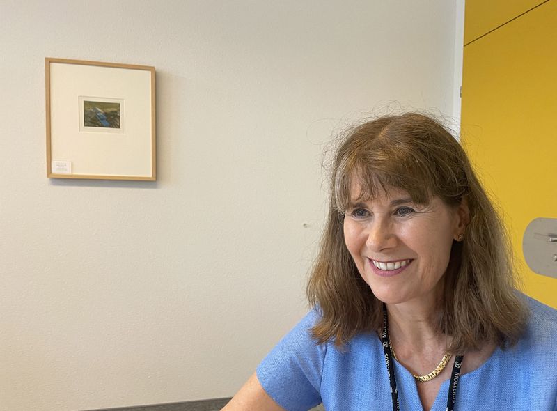 Isabel Hunger-Glaser, head of the WHO biohub project at the Spiez Laboratory, available to the World Health Organization as a repository for SARS-CoV-2 viruses or other pathogens with epidemic or pandemic potential, poses in Spiez, Switzerland, June 8.