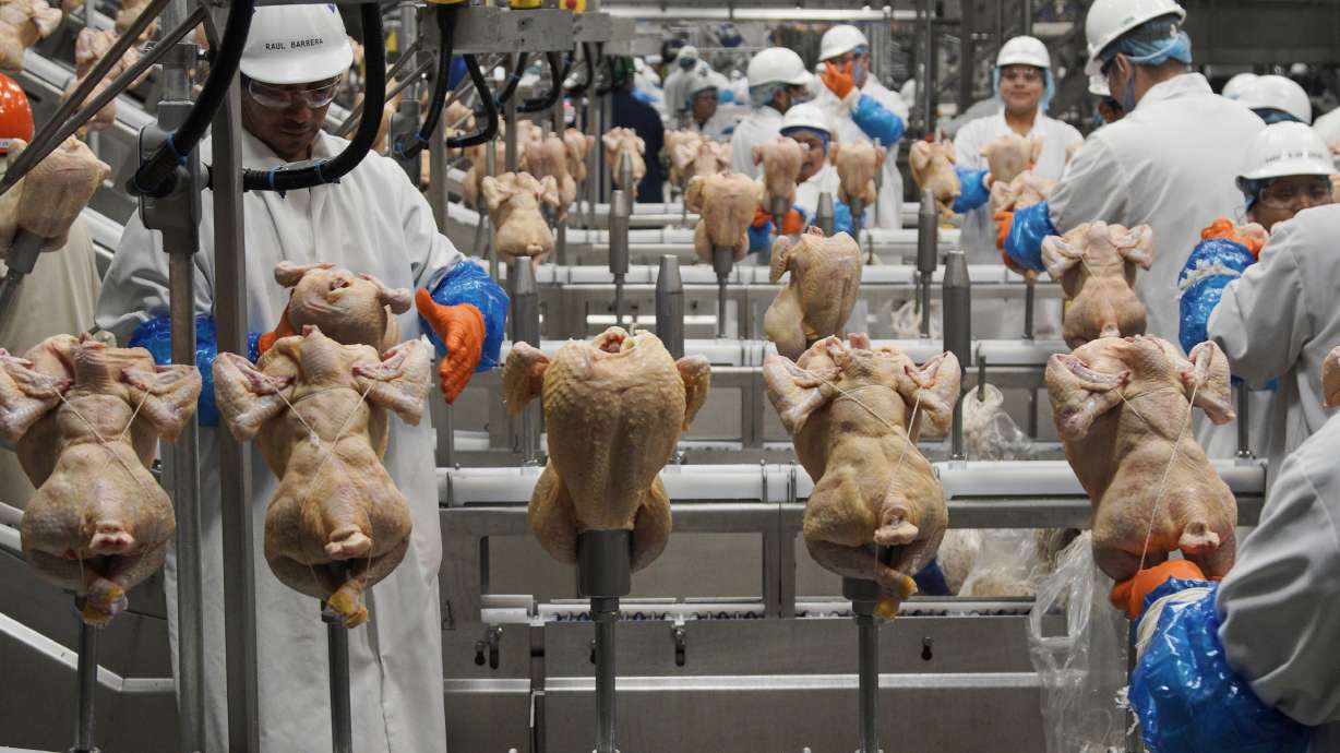 Workers process chickens at a poultry plant in Fremont, Neb., Dec. 12, 2019. The federal government on Monday announced proposed new regulations that would force food processors to reduce the amount of salmonella bacteria found in some raw chicken products or risk being shut down.
