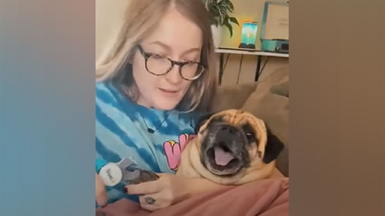 Pug 2024 nail clipping