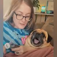 Have You Seen This? Pug really doesn't like getting its nails done