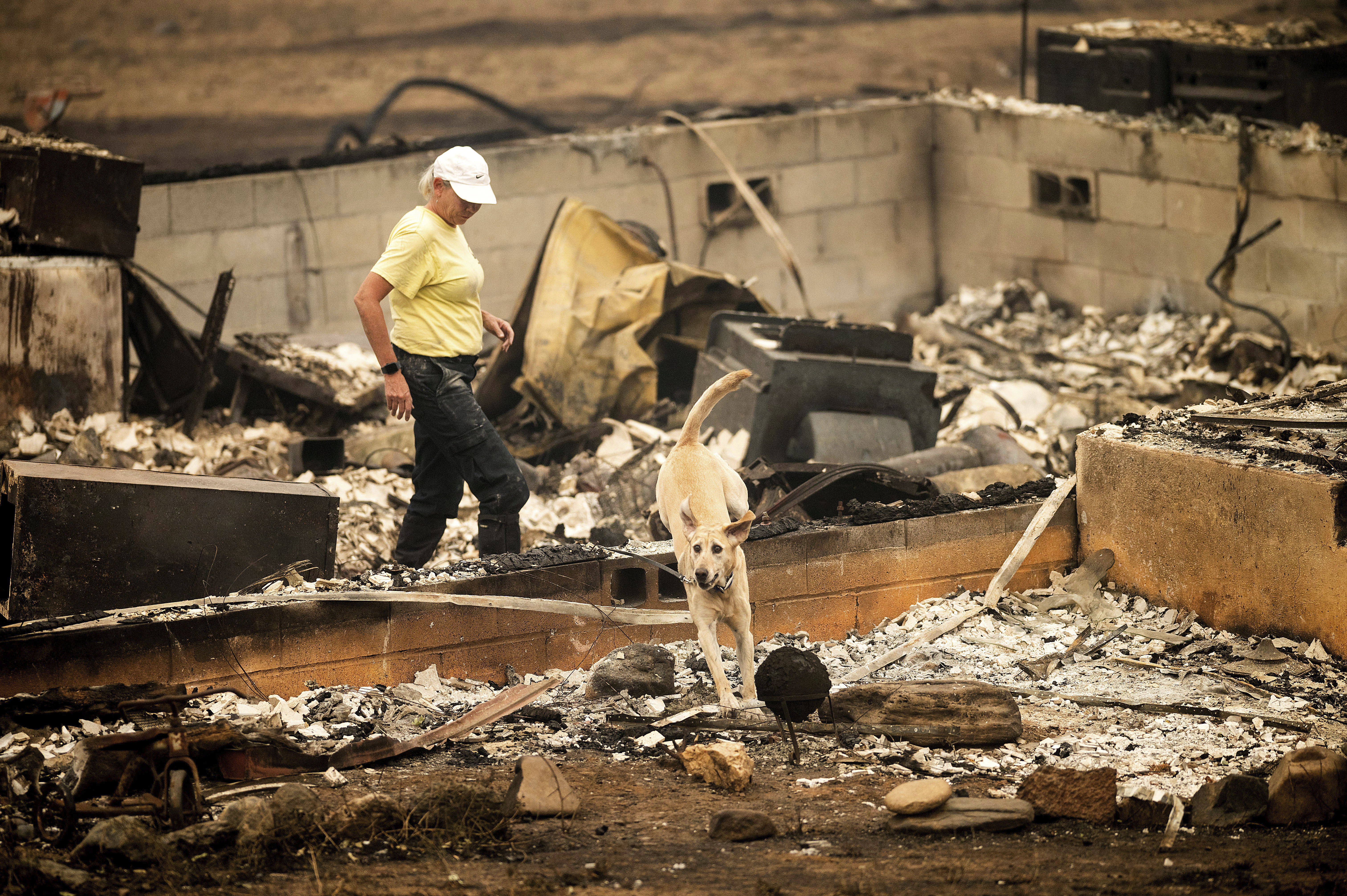 A search and rescue canine leaves a home leveled by the McKinney Fire on Monday in Klamath National Forest, Calif. 