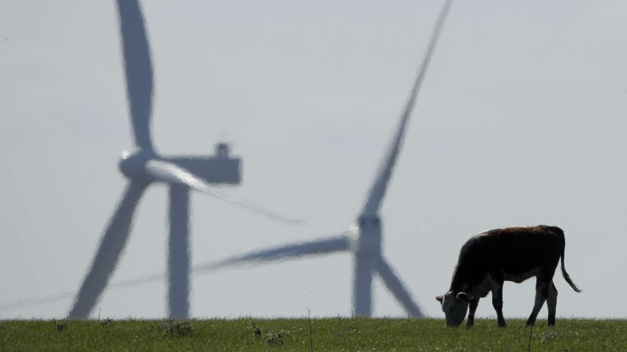 A cow grazes in a pasture as wind turbines rise in the distance, April 27, 2020, near Reading, Kan. The climate deal reached by Senate Democrats could reduce the amount of greenhouse gases that American farmers produce by expanding programs that help sequester carbon in soil, fund climate-focused research and lower the abundant methane emissions that come from cows.