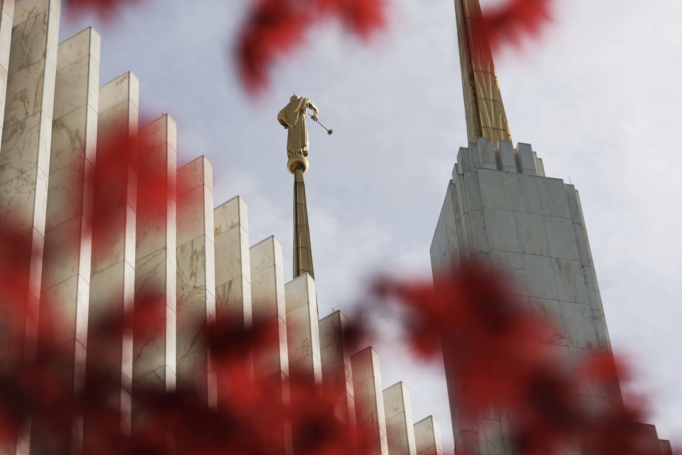 Colorful trees surround the Washington D.C. Temple in Kensington, Maryland, during the temple open house on April 22. Pres. Russell M. Nelson will rededicate the temple on Aug. 14.