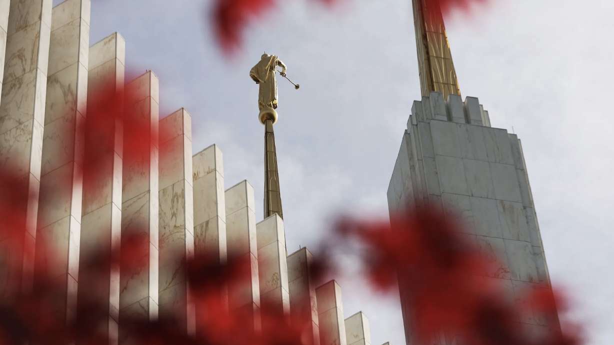 Colorful trees surround the Washington D.C. Temple in Kensington, Maryland, during the temple open house on April 22. Pres. Russell M. Nelson will rededicate the temple on Aug. 14.