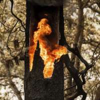 California's McKinney fire has destroyed nearly 90 homes and is only 40% contained