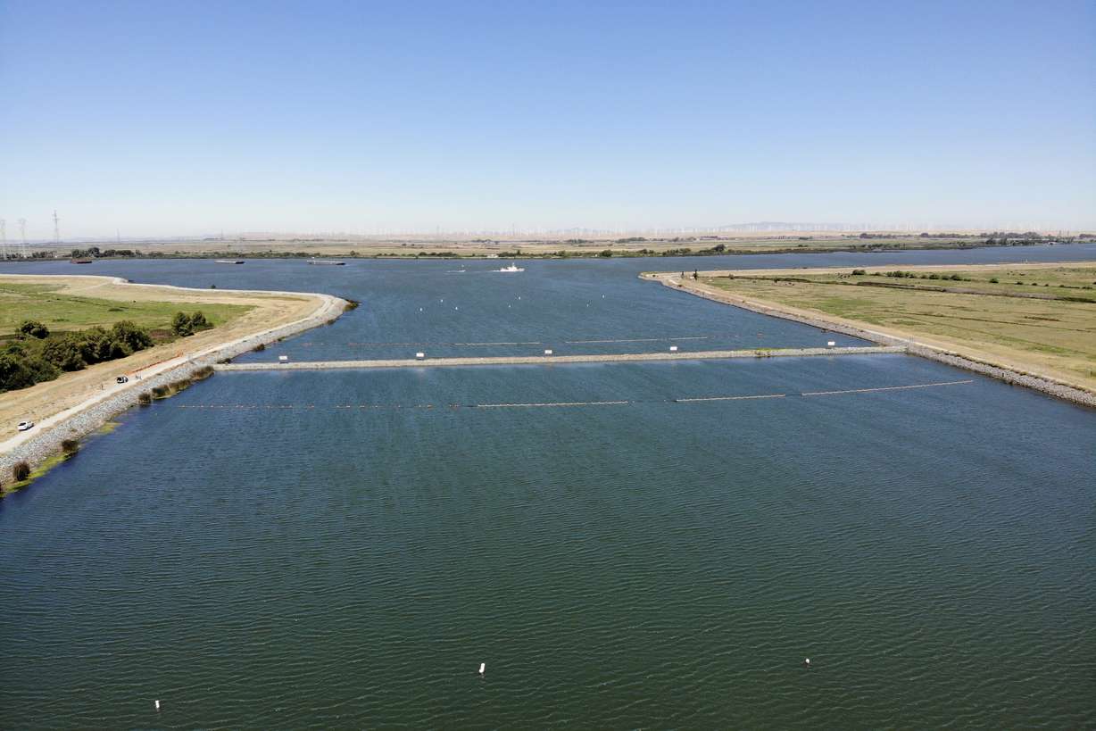 An emergency drought barrier that protects against saltwater intrusion, built by the California Department of Water Resources, stretches across the West False River in the Sacramento-San Joaquin River Delta near Oakley, Calif., July 21.