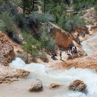 Favorite spot for locals in Bryce Canyon National Park makes national list of impacted places