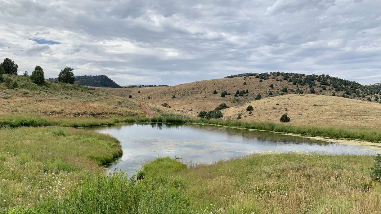 A photo of a pond at Cinnamon Creek Wildlife Management Area taken Friday. The wildlife management area opened on Friday.