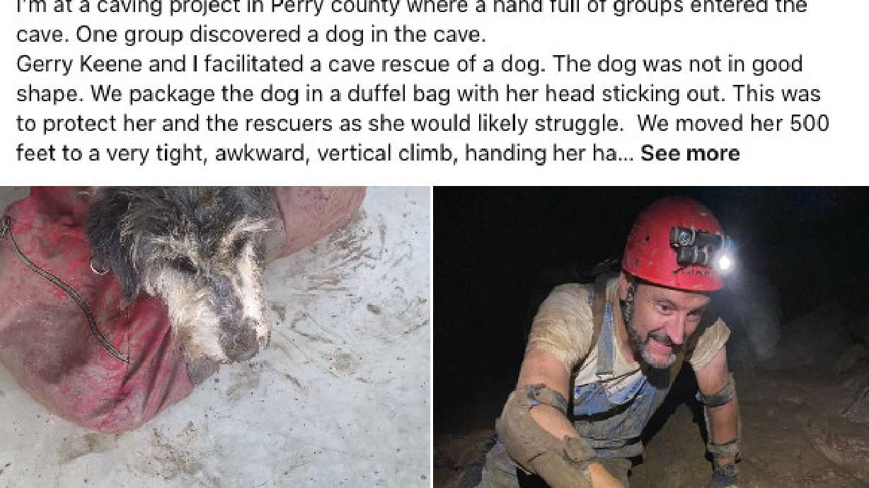 Cave spelunker Rick Haley posted a video and photos of a dog rescued in Missouri on Saturday. The dog had been missing for two months.