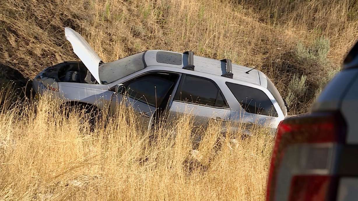 A Centerville man who police say drove onto a sidewalk, nearly hitting two people unloading groceries, then crashed onto a mountainside where a small grass fire was started, was arrested Tuesday.