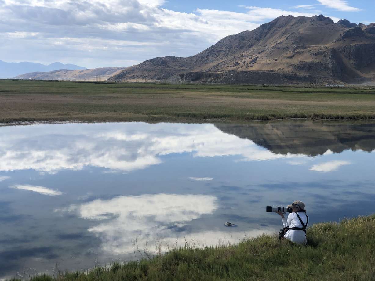 Sageland Collaborative ecologist Janice Gardner takes a photo of a shorebird at Timpie Springs Waterfowl Management Area in Tooele County on Aug. 12.