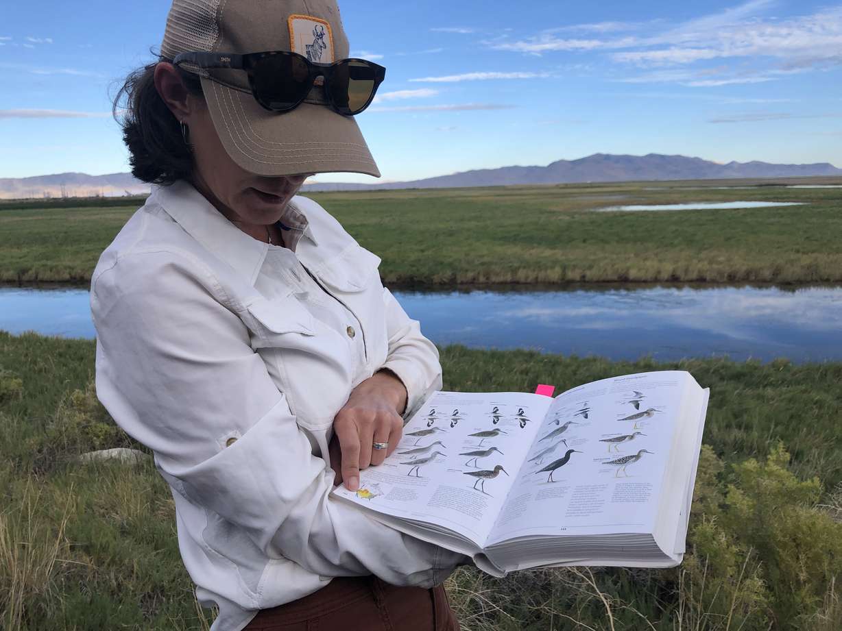 Sageland Collaborative ecologist Janice Gardner flips through a field guide during a shorebirds survey at Timpie Springs Waterfowl Management Area in Tooele County on Aug. 12.