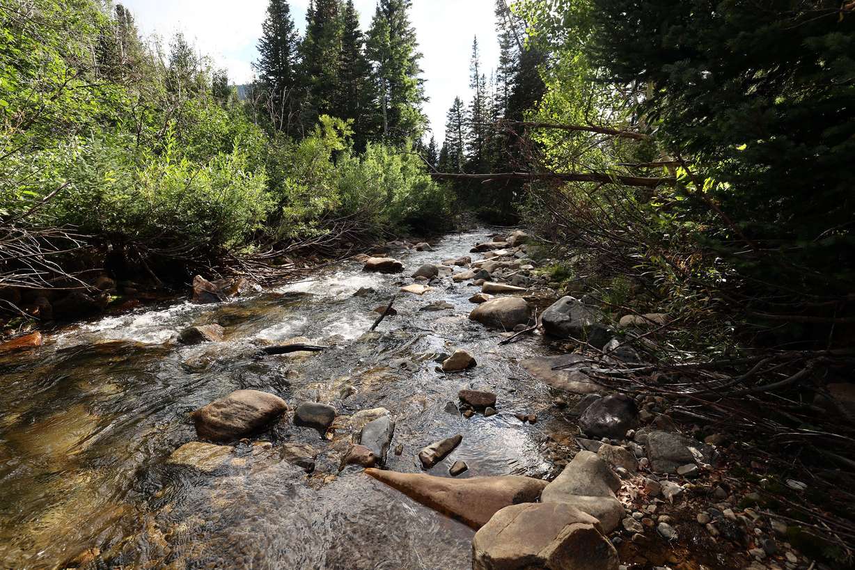 Water runs down Little Cottonwood Creek near Snowbird in Little Cottonwood Canyon on Tuesday.