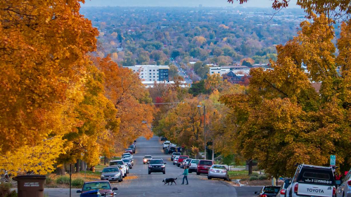 A person walks their dog through the fall colors in Salt Lake City's Avenues neighborhood on Saturday, Oct. 30, 2021. Meteorological fall begins on Sept. 1.