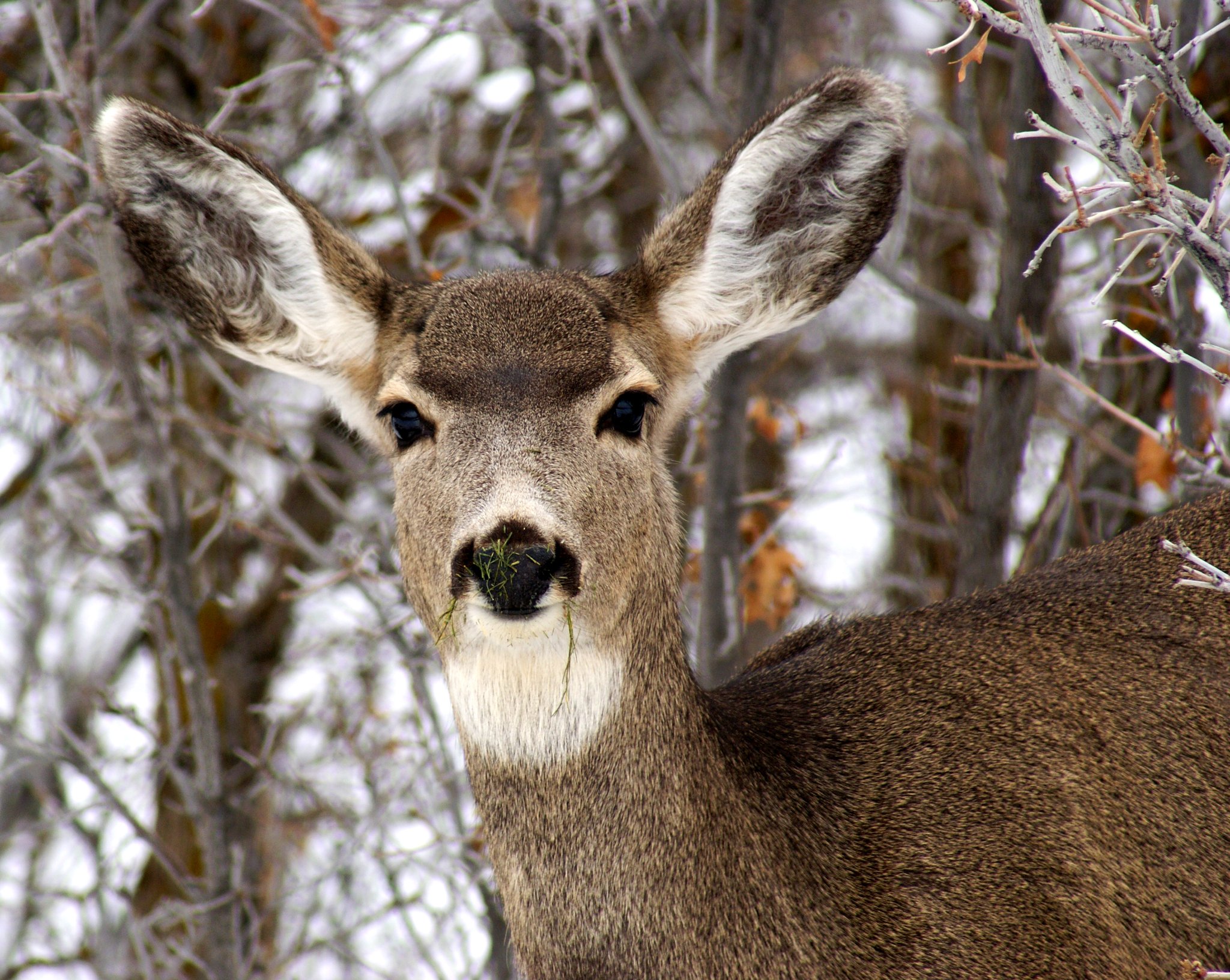 Utah Adventures With Maverik: 5 Great Places To View And Photograph ...