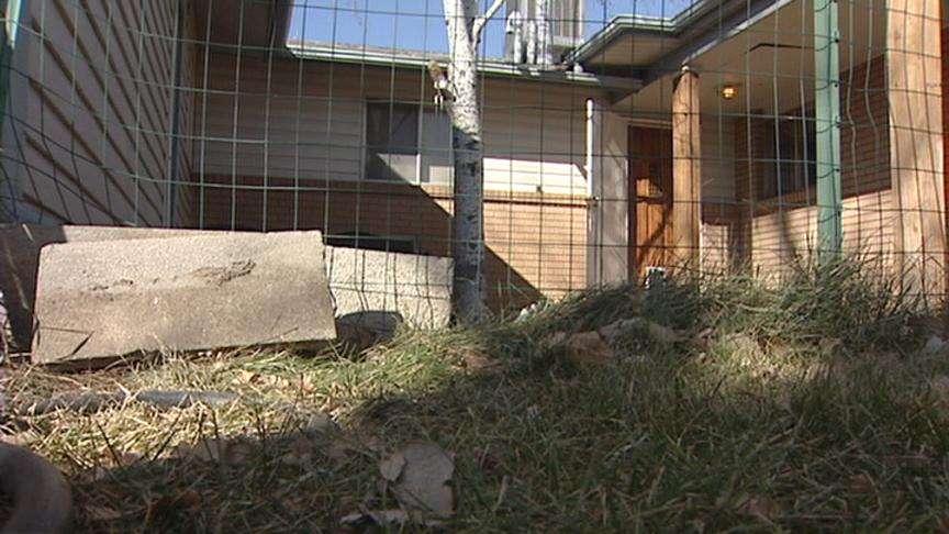 Dog Shot in Sandy
