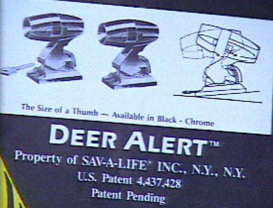 Fatal Accidents Involving Deer Becoming More Common