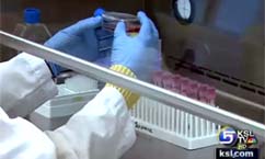 Evidence Indicates Endometriosis Could be Linked to Environment