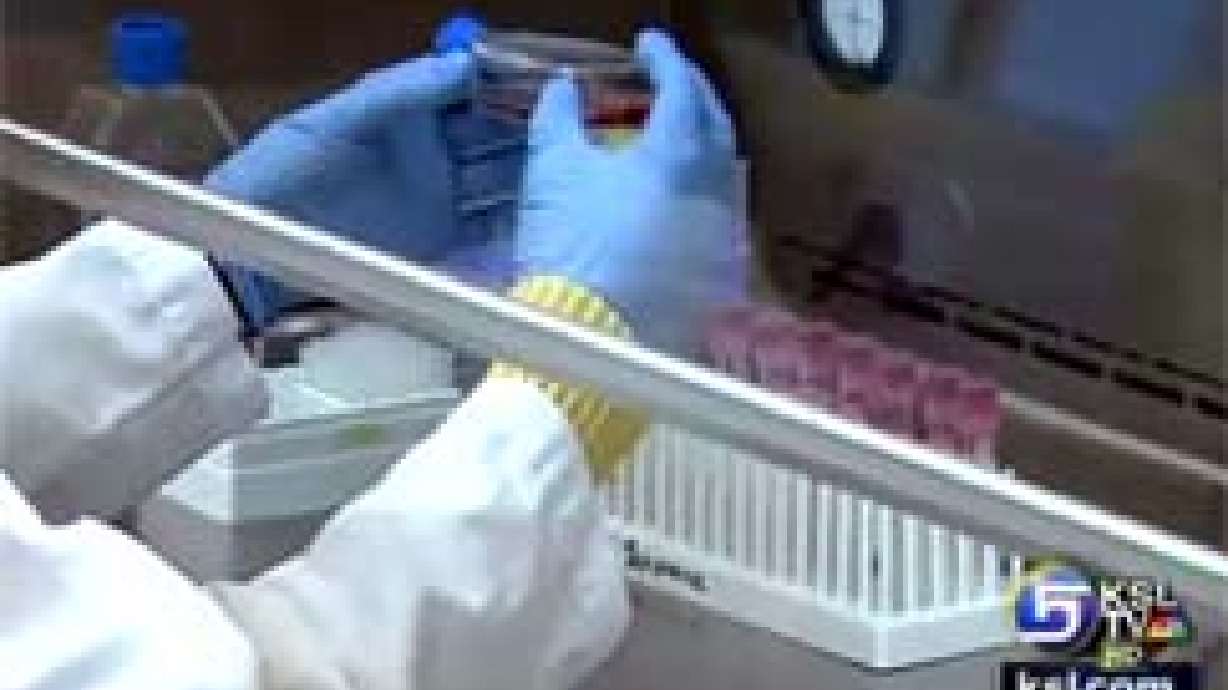 Evidence Indicates Endometriosis Could be Linked to Environment