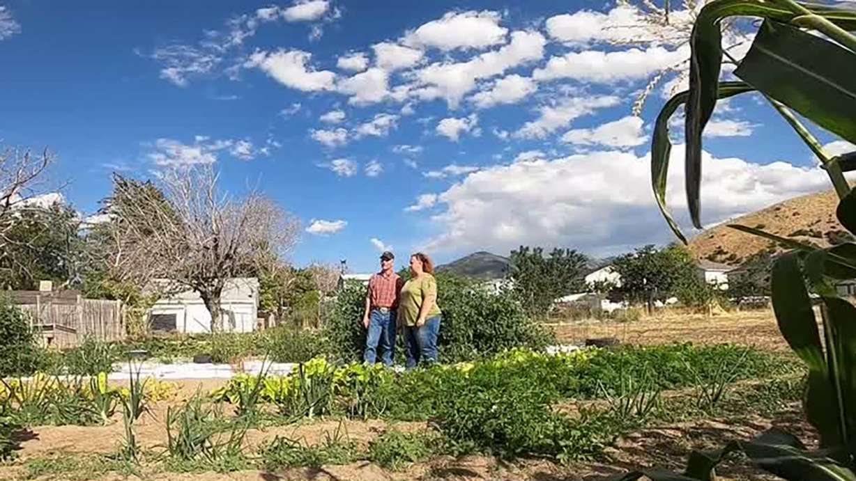 Curtis and Melanie Castagno stand in their garden in Tooele Tuesday. The plants are suffering this year due to drought and record heat.