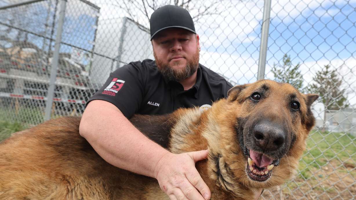 South Salt Lake Animal Services control officer Zach Allen pets a dog at the shelter on April 5. The KSL Classifieds team is making efforts to improve its pet section with changes designed to better protect future furry friends through initiatives that will crack down on irresponsible breeders and sellers.