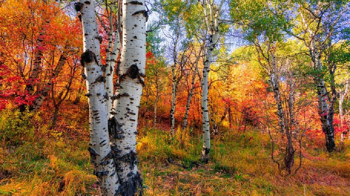 8 of Utah's best fall activities and destinations KSL.com