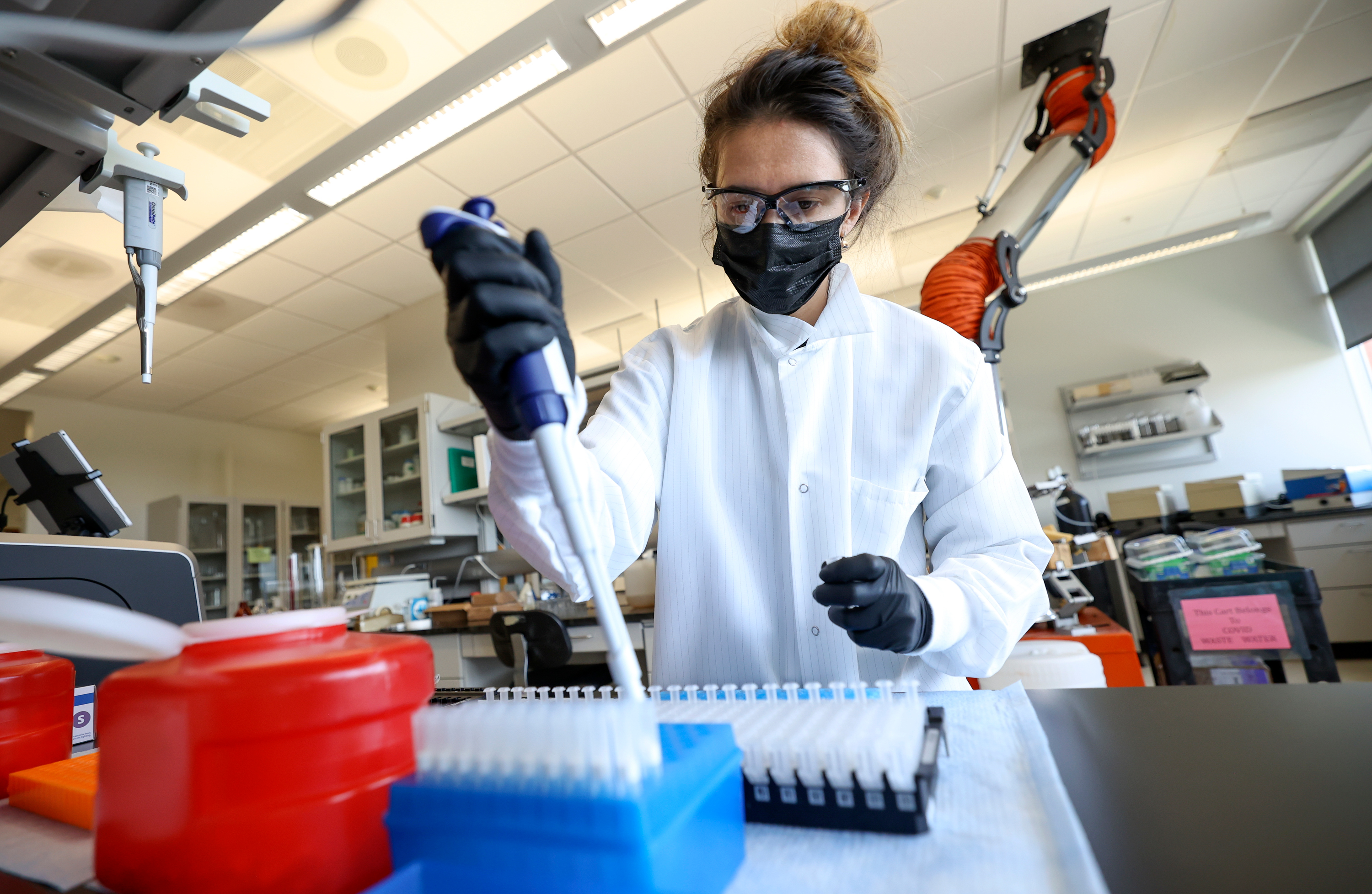 Maleea Ezekiel, Utah Department of Health and Human Services wastewater surveillance project coordinator, prepares 24-hour composite wastewater samples for extraction, to test for COVID-19, at the Utah Public Health Laboratory in Taylorsville on Aug. 24. The Utah Department of Health and Human Services on Thursday reported 2,370 new COVID-19 cases and eight additional deaths over the past week.