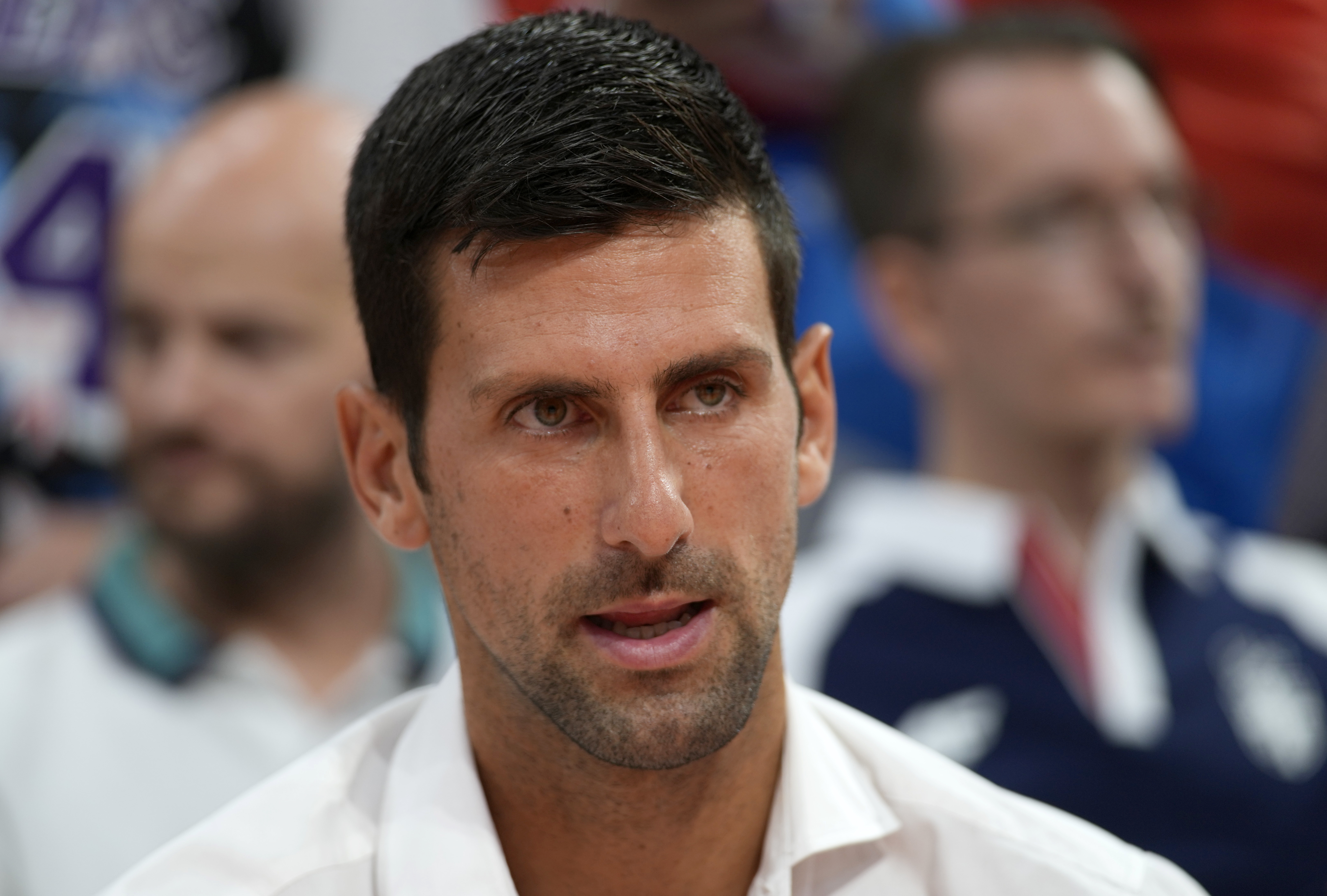 Serbian tennis player Novak Djokovic before the FIBA Basketball World Cup 2023 European qualifiers match between Serbia and Greece, in Belgrade, Serbia, Thursday, Aug. 25, 2022. 