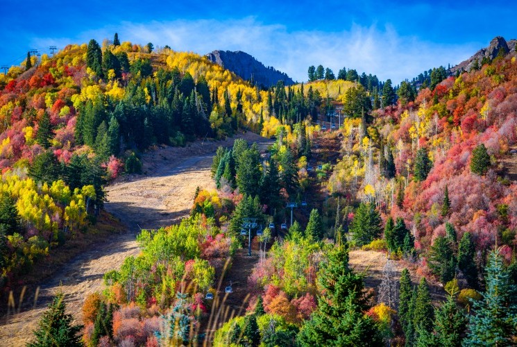 Snowbasin's annual SnowWiesn Oktoberfest is brewing up mountain fun